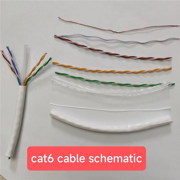 CAT6 Cabal